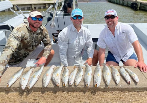 Speckled Trout / Spotted Seatrout fishing in Galveston, Texas