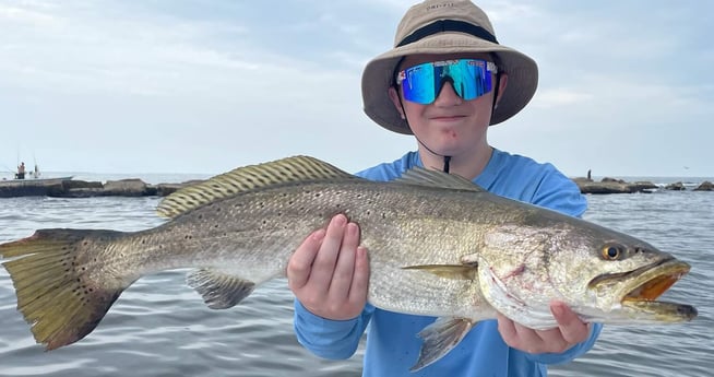 Speckled Trout / Spotted Seatrout fishing in Galveston, Texas