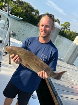 Gag Grouper Fishing in Holmes Beach, Florida