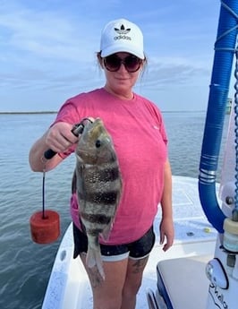 Sheepshead Fishing in South Padre Island, Texas