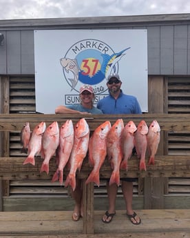 Mangrove Snapper, Redfish Fishing in Corpus Christi, Texas