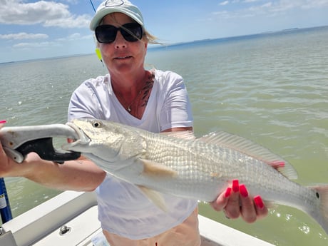 Redfish Fishing in Port Orange, Florida