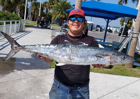 King Mackerel / Kingfish fishing in Clearwater, Florida