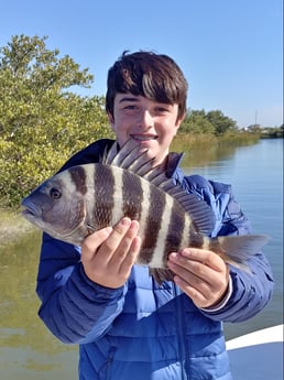 Sheepshead fishing in St. Augustine, Florida