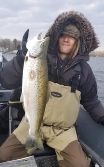 Brown Trout Fishing in Verona Beach, New York