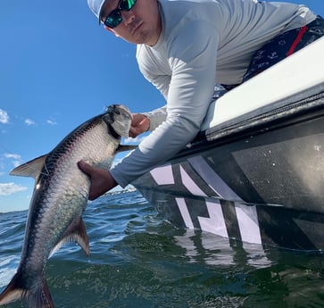 Tarpon Fishing in Palm Beach, Florida