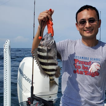 Sheepshead Fishing in Mount Pleasant, South Carolina