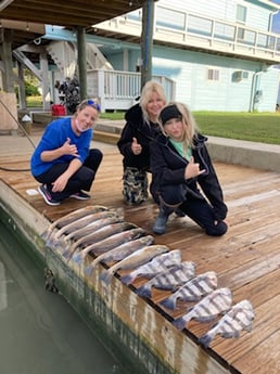 Black Drum, Redfish fishing in Rockport, Texas