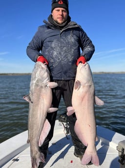 Blue Catfish Fishing in Dallas, Texas