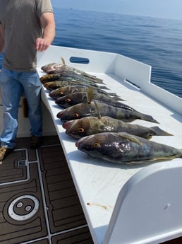 Fishing in Los Angeles, California