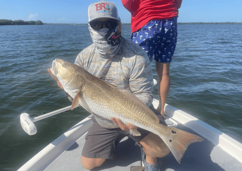 Redfish Fishing in Tampa, Florida