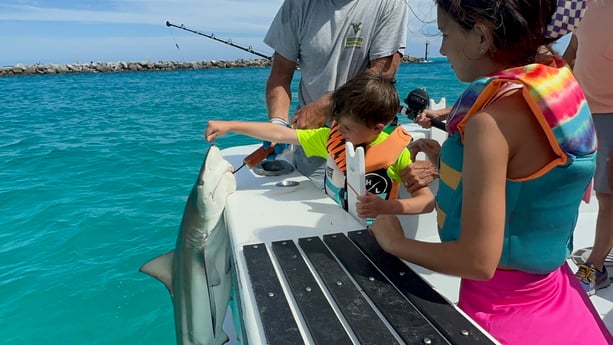 Blacktip Shark Fishing in Destin, Florida