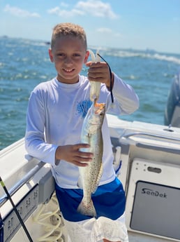 Speckled Trout / Spotted Seatrout fishing in Galveston, Texas