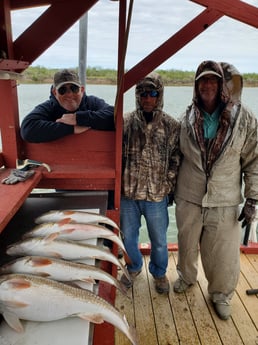 Redfish Fishing in South Padre Island, Texas