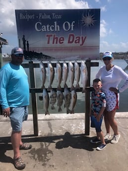 Black Drum, Redfish fishing in Rockport, Texas