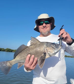 Black Drum fishing in New Smyrna Beach, Florida