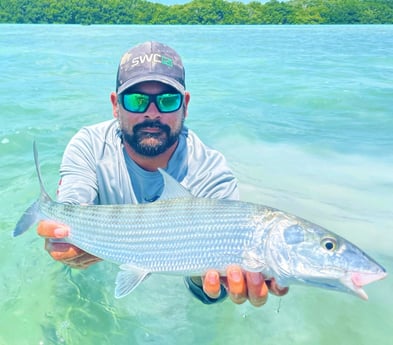 Bonefish fishing in Tavernier, Florida