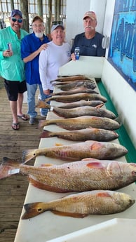 Redfish, Speckled Trout / Spotted Seatrout fishing in Port O&#039;Connor, Texas