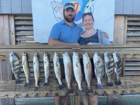 Black Drum, Redfish, Speckled Trout Fishing in Corpus Christi, Texas