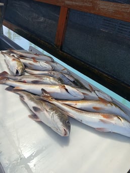 Fishing in South Padre Island, Texas