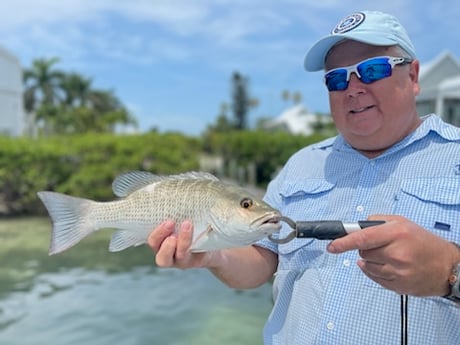 Fishing in Sarasota, Florida