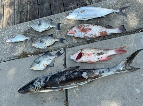 Fishing in Port Orange, Florida