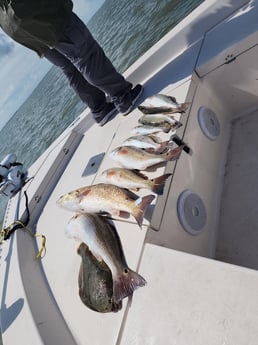 Flounder, Redfish, Speckled Trout Fishing in Galveston, Texas