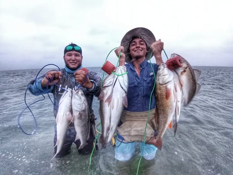 Redfish, Speckled Trout / Spotted Seatrout fishing in Rio Hondo, Texas