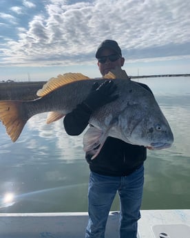 Black Drum fishing in Corpus Christi, Texas