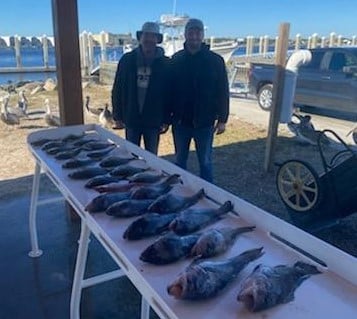 Black Seabass Fishing in Jacksonville, Florida