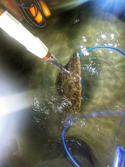 Flounder Fishing in Rio Hondo, Texas