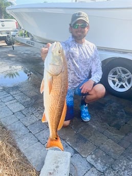 Redfish Fishing in Orange Beach, Alabama