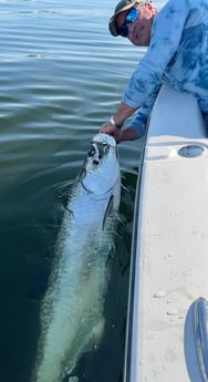 Tarpon Fishing in Miami Beach, Florida