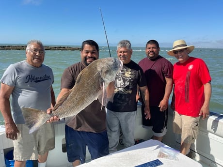 Bonnethead Shark fishing in Galveston, Texas