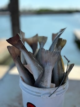 Fishing in Port Aransas, Texas