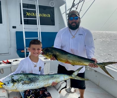 King Mackerel / Kingfish fishing in Marathon, Florida