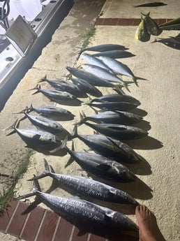 Fishing in Humacao, Puerto Rico