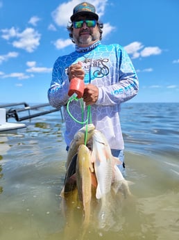 Redfish Fishing in Rio Hondo, Texas