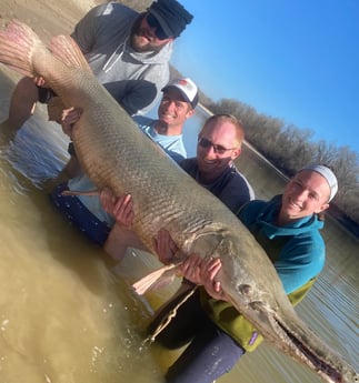 Alligator Gar fishing in Livingston, Texas