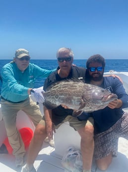 Black Grouper fishing in Key West, Florida