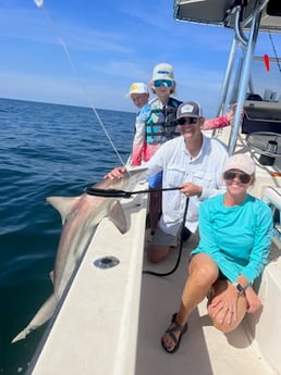 Blacktip Shark Fishing in Galveston, Texas