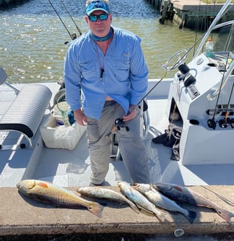 Redfish, Speckled Trout / Spotted Seatrout fishing in Galveston, Texas