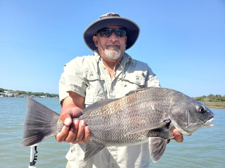 Black Drum fishing in Mount Pleasant, South Carolina