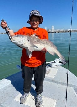 Black Drum fishing in Aransas Pass, Texas