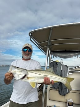 Fishing in Sarasota, Florida