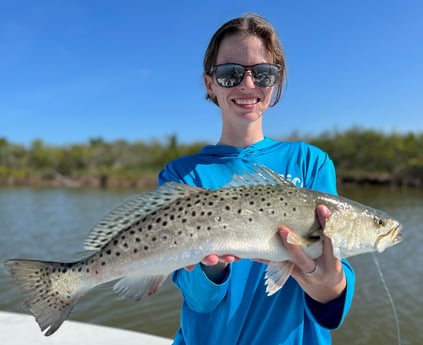 Speckled Trout / Spotted Seatrout Fishing in Oak Hill, Florida