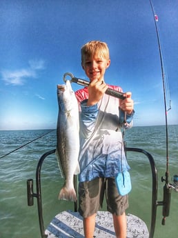 Speckled Trout / Spotted Seatrout Fishing in Rio Hondo, Texas