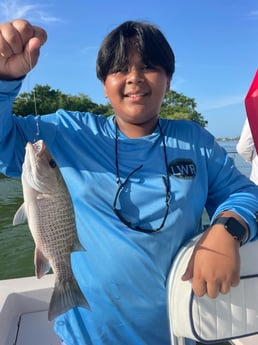 Fishing in Sarasota, Florida