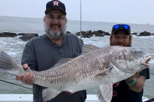 Black Drum fishing in Galveston, Texas