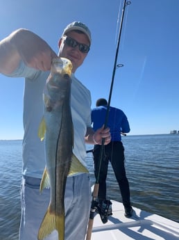 Snook Fishing in Clearwater, Florida